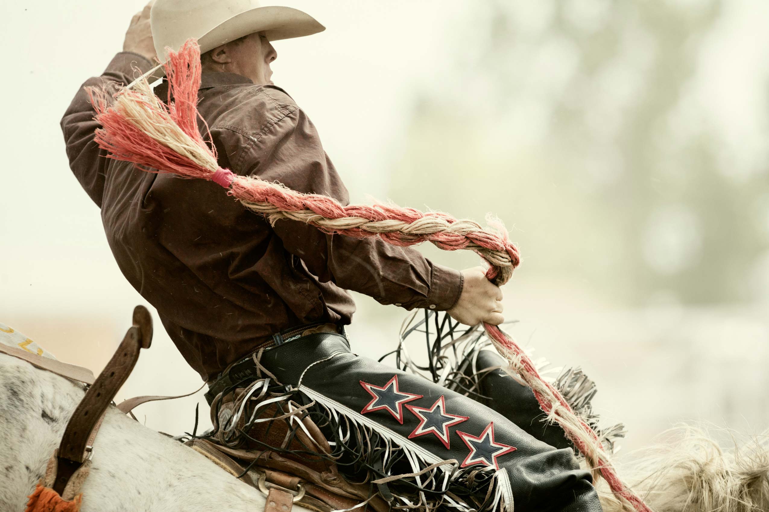 04_MilesCityBuckingHorse