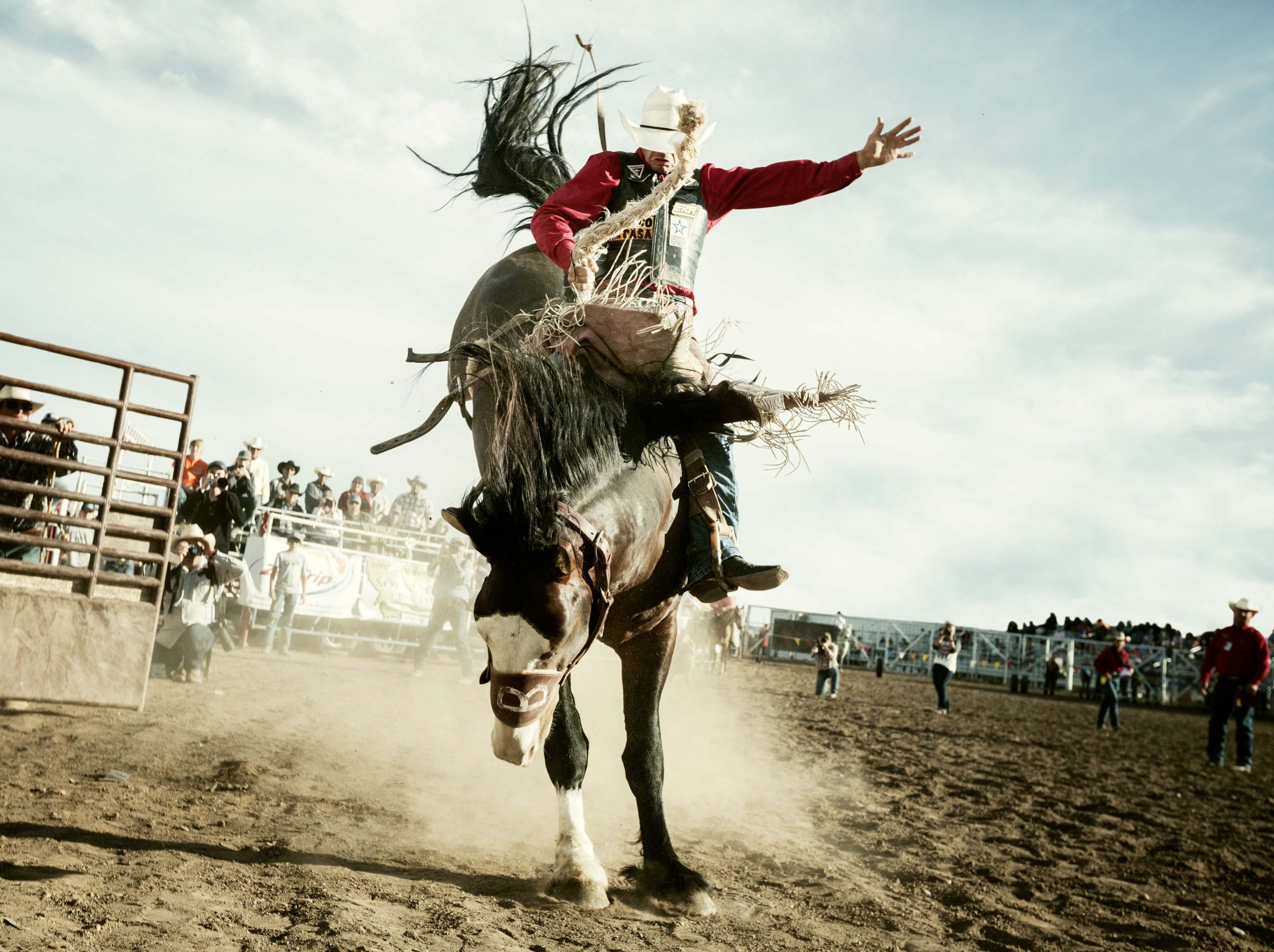 09_MilesCityBuckingHorse