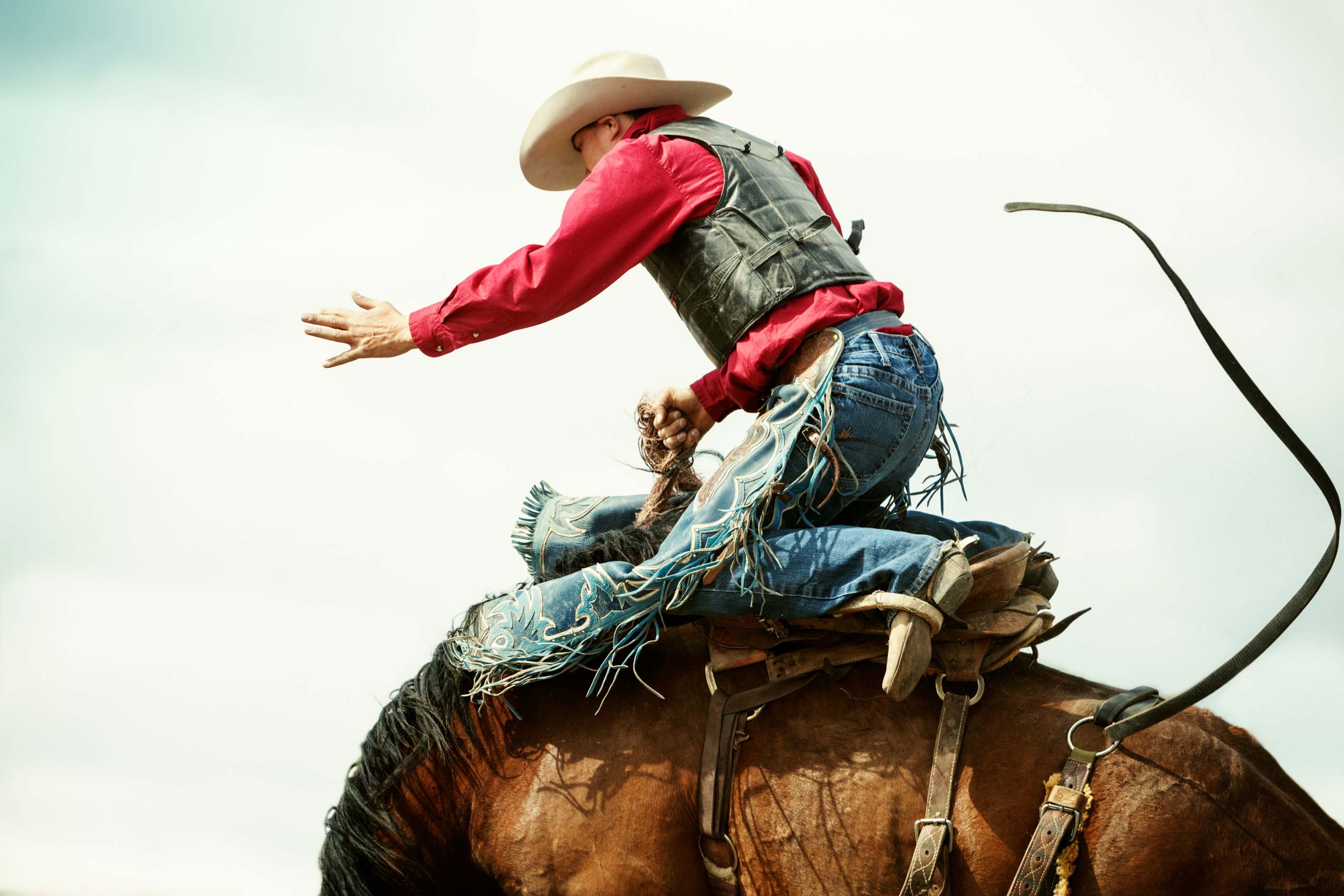 10_MilesCityBuckingHorse