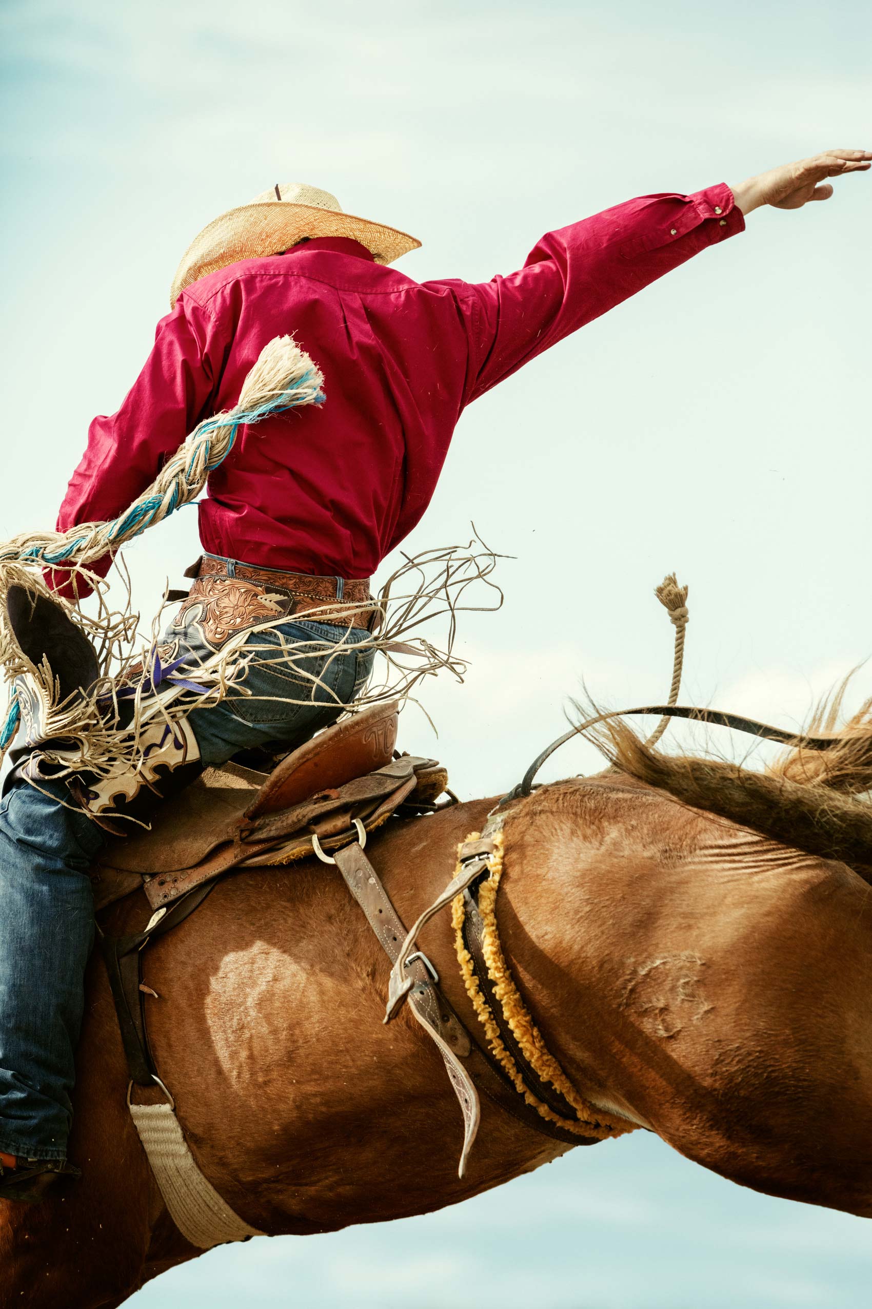 13_MilesCityBuckingHorse