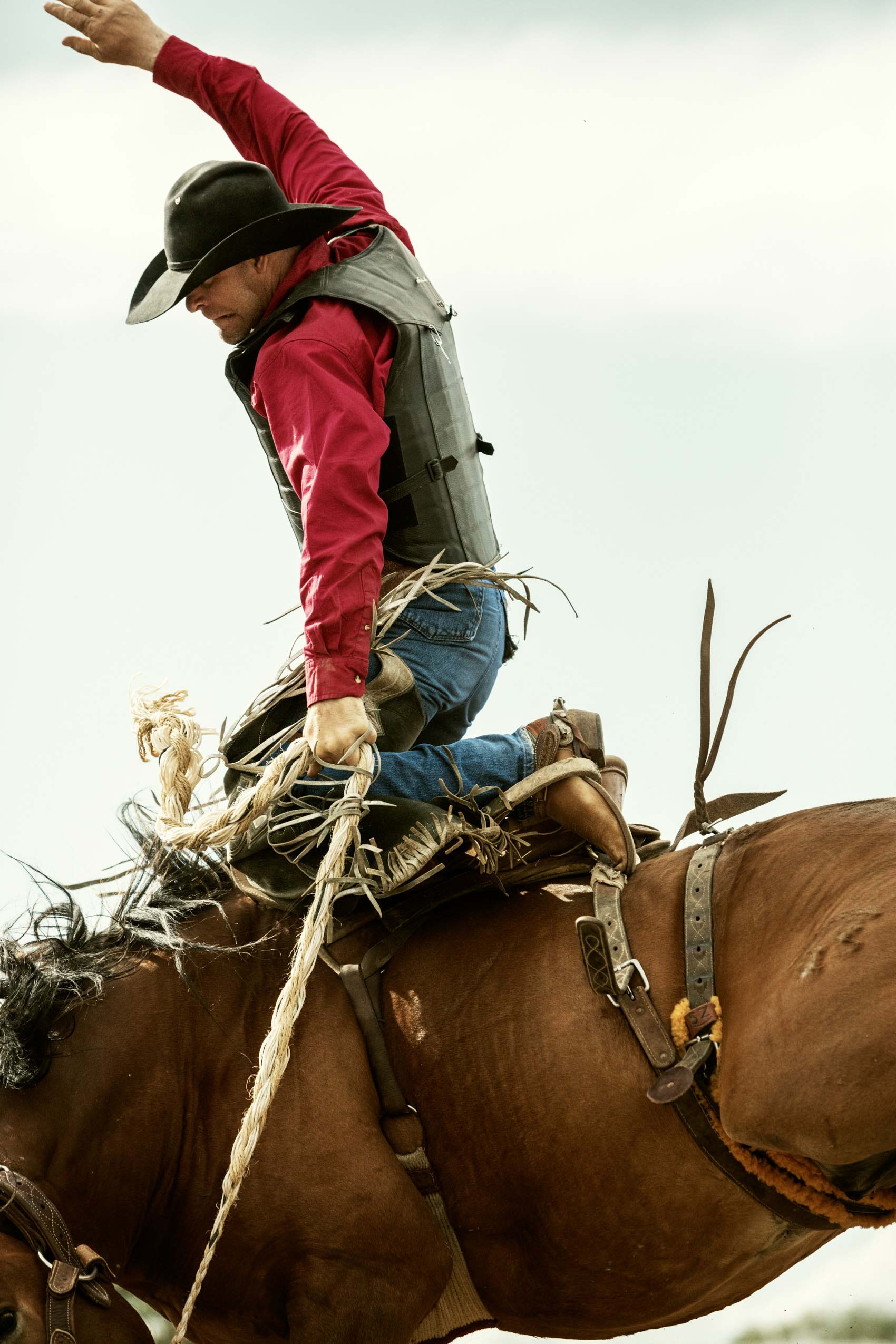 14_MilesCityBuckingHorse